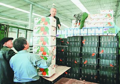 東寧奏響全面振興強音，農副產品沿邊開放拓新局