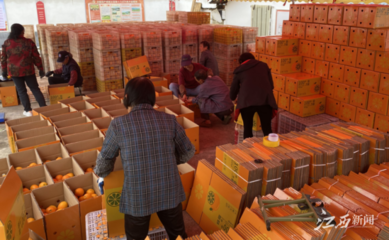 江西崇義 壯大村集體經(jīng)濟(jì) 開創(chuàng)強(qiáng)村富民新局面