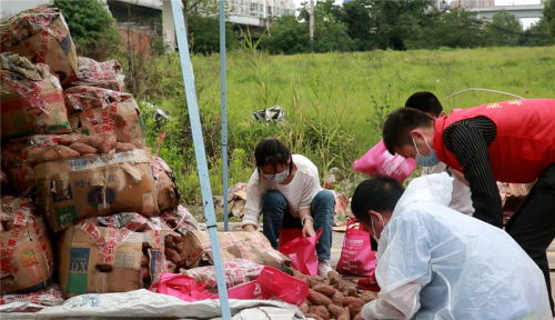 大愛接力 武漢志愿者團助力臨沂農副產品銷售，推動機械設備研發